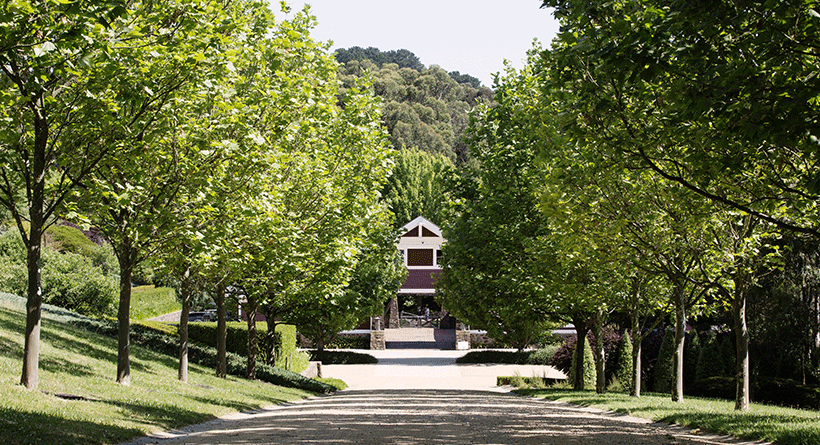 Ocean Eight Vineyard Entrance